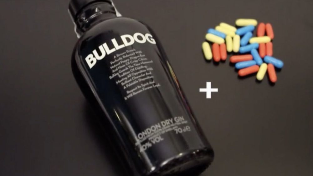 BULLDOG REGALIZ